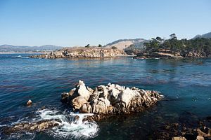 Réserve naturelle de Point Lobos