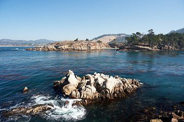 Point Lobos State Natuurreservaat van Marianne Kiefer PHOTOGRAPHY