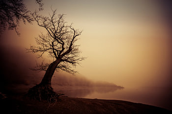 Lake Eder in the mist