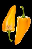Gelbe Paprika