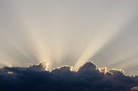 Il pleut du soleil