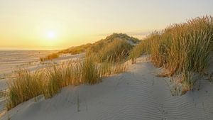 Terschelling, quelle île ! sur Dirk van Egmond