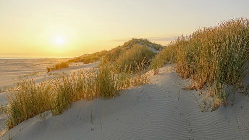 Terschelling, quelle île !