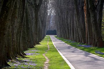 SCHLOSSPARK IN STUTTGART von Miroslav Ptacek