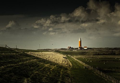 De wachter van Texel