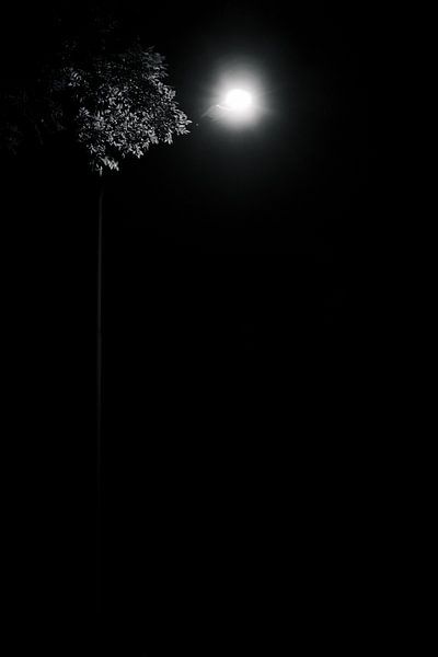 La lumière dans l'obscurité par Raaf