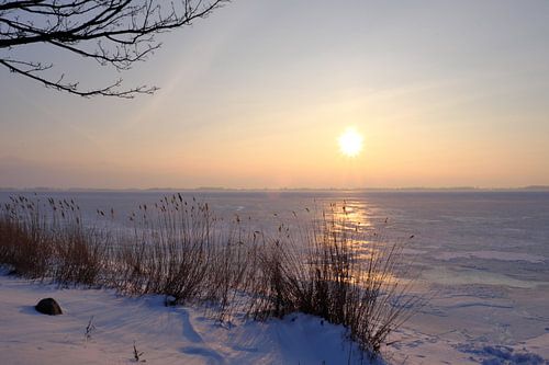 Ochtendstemming in de winter