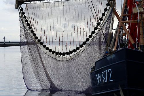 Fishing boat in the harbour of Terschelling