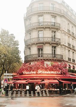 Parisfloralcafe23 Ratioiso van Grace Digital Art Co