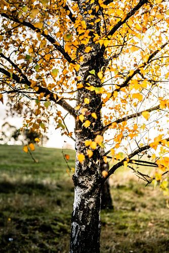 Deutschland im Herbst