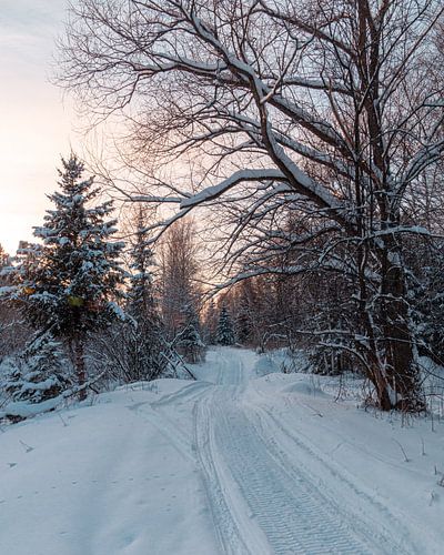 Winter Vibes