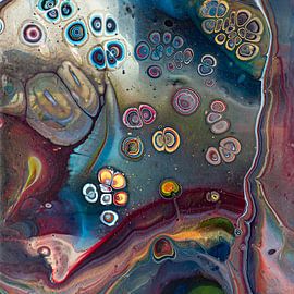 Double shells. by Ilse Smit