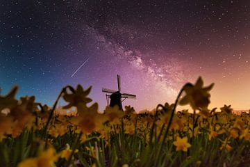 Stars at the mill by peterheinspictures