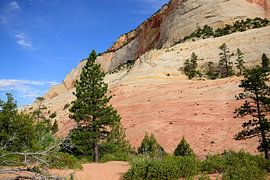 Can't get enough of this by Frank's Awesome Travels