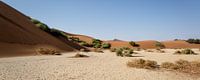 Panoramic photo of Sossusvlei by Tine Depré thumbnail