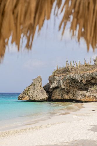 Cas abao curacao vertikal