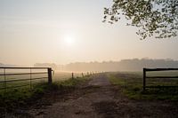 Brabants boerenland in de vroege morgen