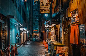 Atmospheric illuminated street scene in Japan during the evening by Roger VDB