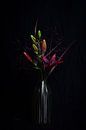 Dark lilies (tip voor vtwonen) van SEE ME fotografie thumbnail