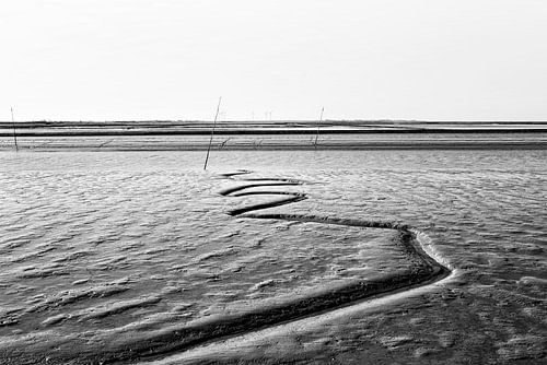 Laagwater en wadden op de Noordzee