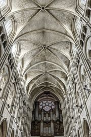 Detail of Laon Cathedral by Ellen van Schravendijk