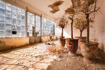 Garden Room in Abandoned Monastery. by Roman Robroek