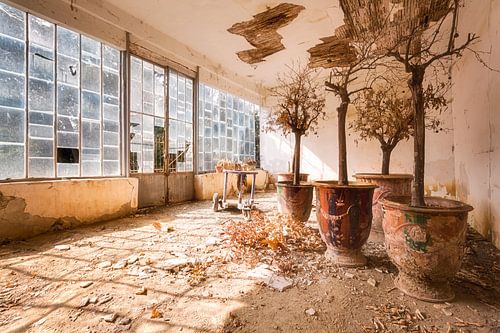 Chambre de jardin dans un monastère abandonné.