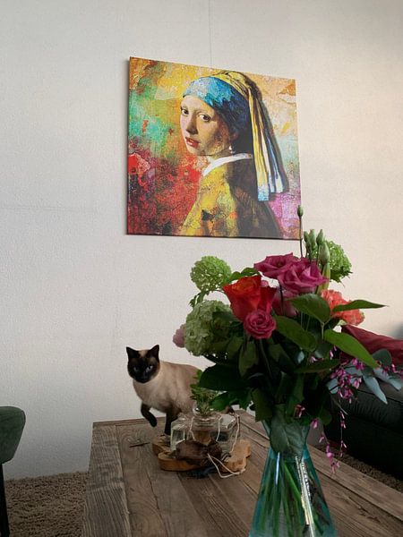Meisje met de Parel - The Full Colour Edition