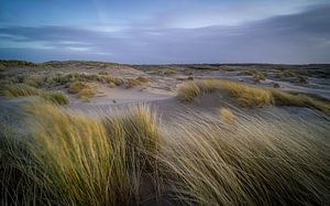 Dunes au bord de la mer sur Dirk van Egmond