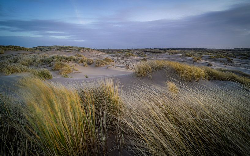 Dunes by the sea by Dirk van Egmond