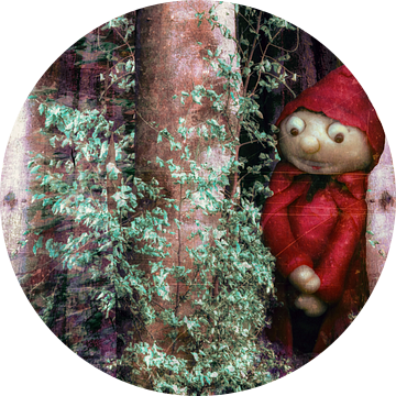 Een kleine man staat in het bos .....