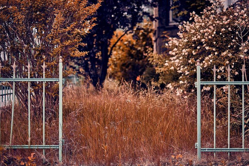 „Verwunschener Gartenpfad – Das Tor zur zeitlosen Natur“ von Momentaufnahme | Marius Ahlers