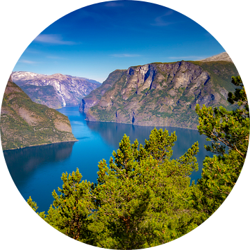 Noorwegen Aurlandfjord van Freddy Hoevers