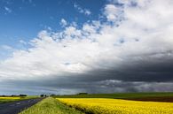 Normandy landscape with rapeseed in May by Matty Maas thumbnail