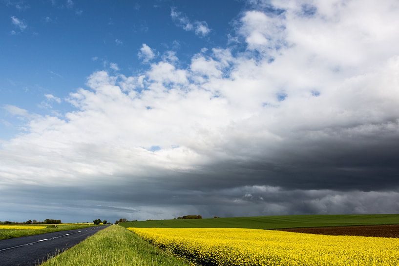 Normandy landscape with rapeseed in May by Matty Maas