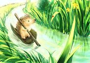 Hedgehog on a journey by Petra van Berkum thumbnail