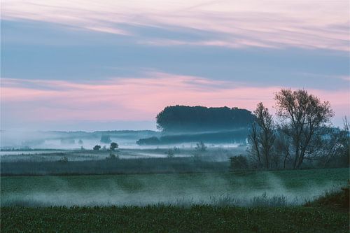 Ground fog in the fields of the floodplain