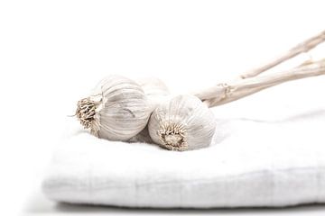 Sleeping garlic van Willy Sybesma