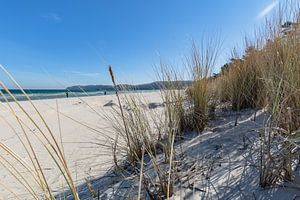 feinsandiger Ostseestrand in Binz auf Rügen