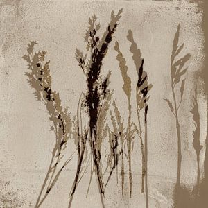 Gras in Braun und Beige auf Weiß. Moderne botanische Kunst.