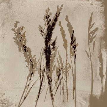 Gras in bruin en beige op wit. Moderne botanische kunst. van Dina Dankers