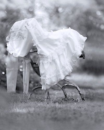 The wedding dress 