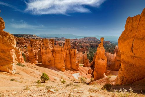 Bryce Canyon National Park, Utah USA