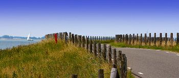 Schellinkhouterdijk in West Friesland