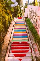Micheltorena Trappen