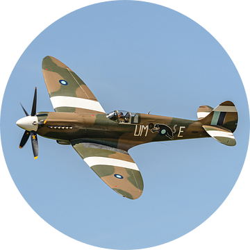 Supermarine Spitfire PR.XIX PS890 (F-AZJS). van Jaap van den Berg