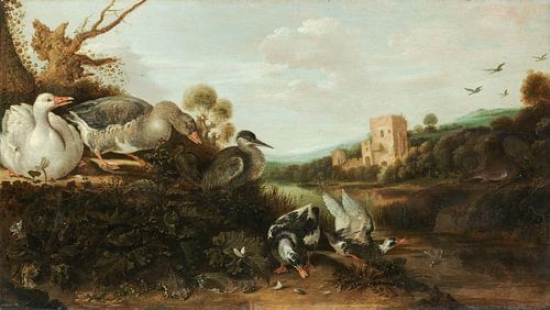 Wasservögel - Gijsbert Gillisz de Hondecoeter