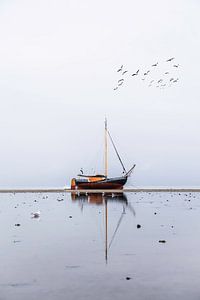 Trocken auf dem Wattenmeer bei Vlieland von Linda Richter