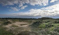 Dune hollandaise par Remco Nijland Aperçu