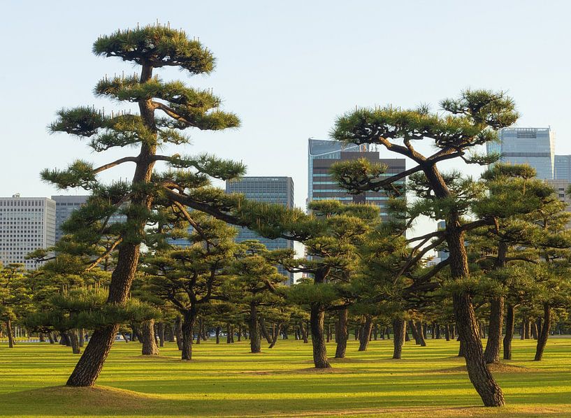 Tokyo Imperial Palace and National Garden Kokyo (Japan) by Marcel Kerdijk